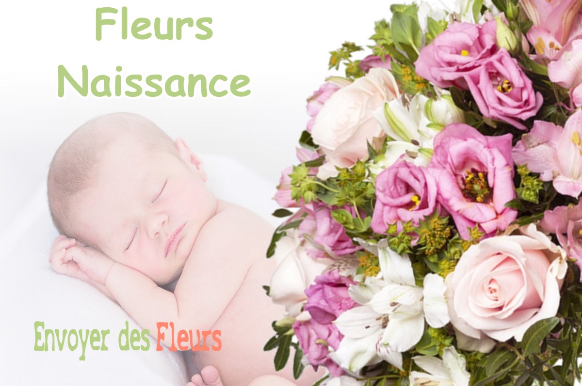 lIVRAISON FLEURS NAISSANCE à LE-PASSAGE